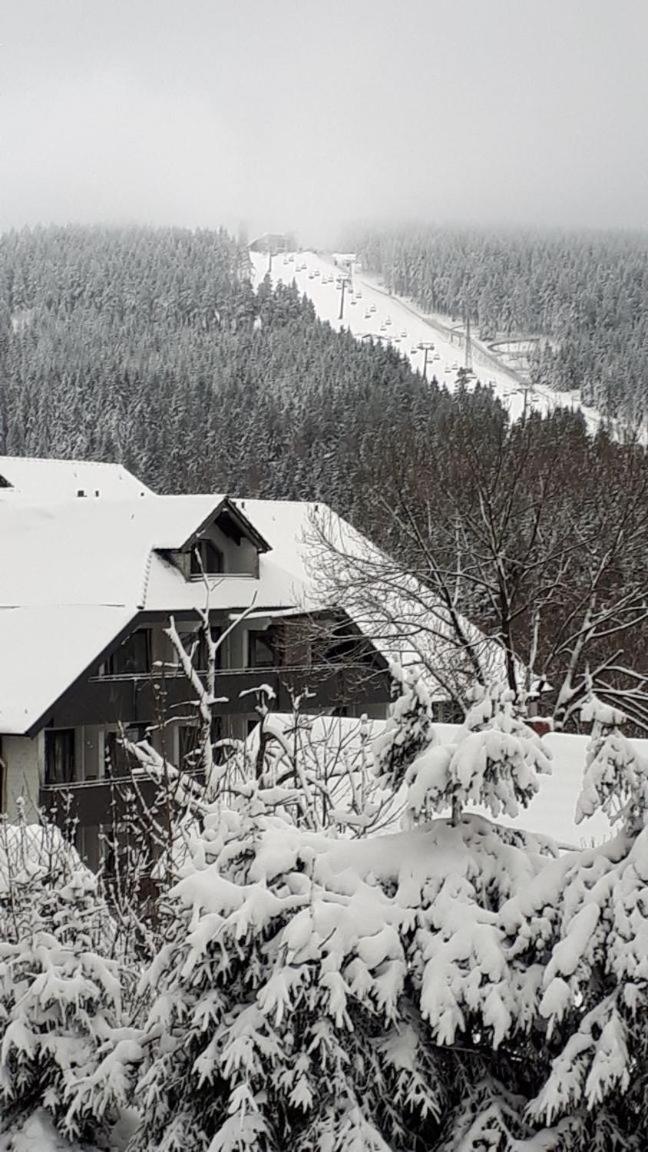 Ferienwohnung Steffens Hahnenklee Wohnung 25 戈斯拉尔 外观 照片