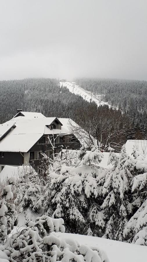 Ferienwohnung Steffens Hahnenklee Wohnung 25 戈斯拉尔 外观 照片
