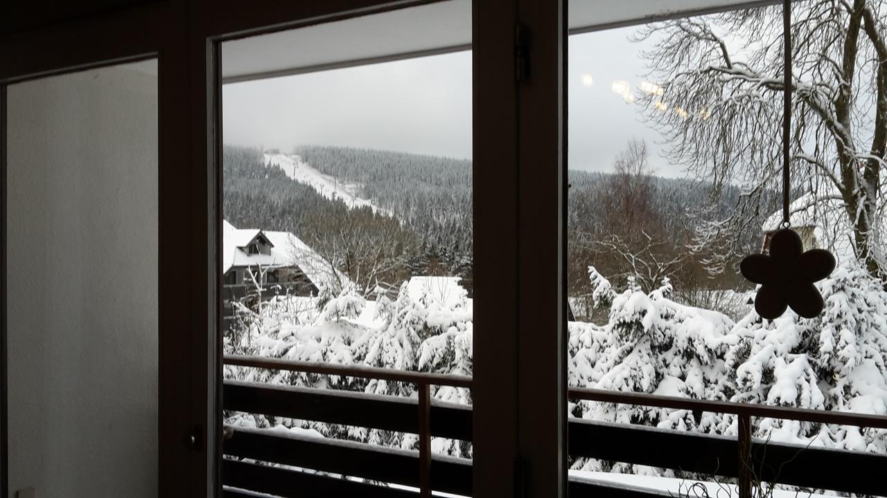 Ferienwohnung Steffens Hahnenklee Wohnung 25 戈斯拉尔 外观 照片